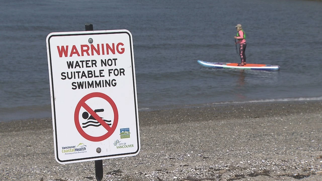 Vancouver's Sunset Beach remains closed to swimming as high E. coli levels persist