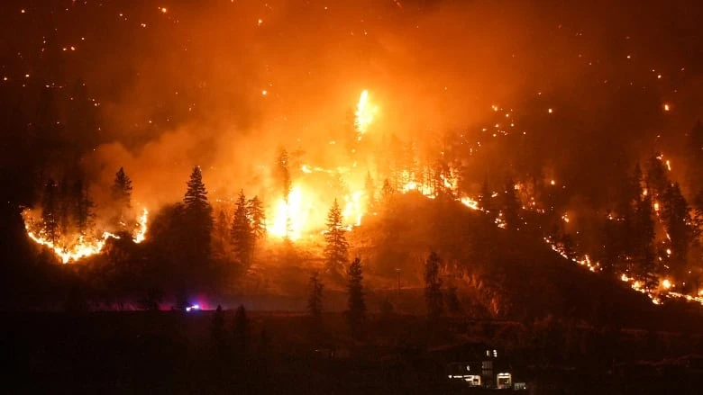 B.C. ministers urge residents to have go-bags, insurance before floods and wildfires