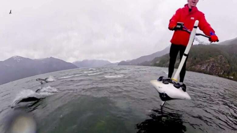 B.C. man skims through ocean with pod of dolphins