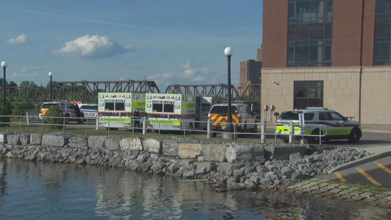 Missing swimmer's body recovered from Ottawa River