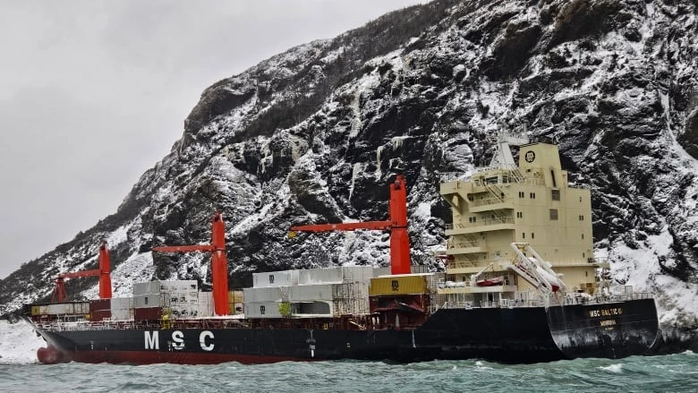 MHAs push federal government to clean up grounded cargo vessel, as pollution concern grows
