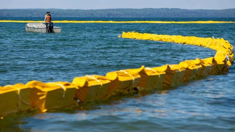 Underwater curtain at Clear Lake dislodged days after completion, zebra mussels still not contained