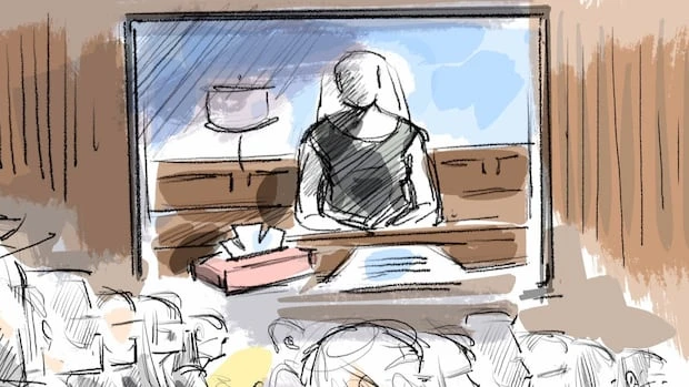 Defence suggests at world juniors trial that complainant pushed players for sex