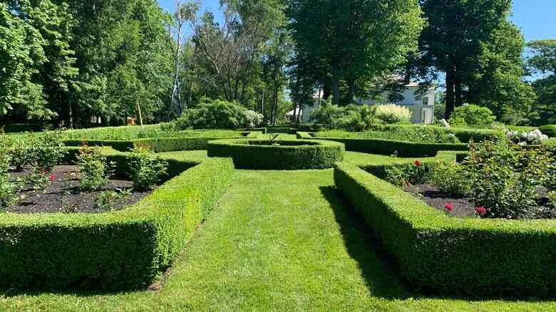 Spectacular gardens at Fanningbank reopen to public