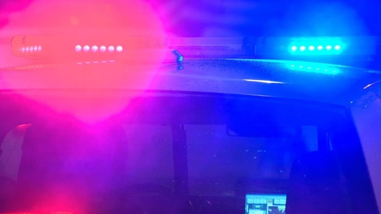 Fatal overnight collision near Thamesville, Ont.