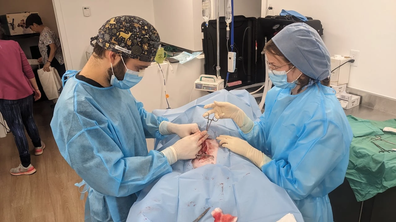 Nunavik’s only veterinary clinic is looking for a new funder, or risk closure