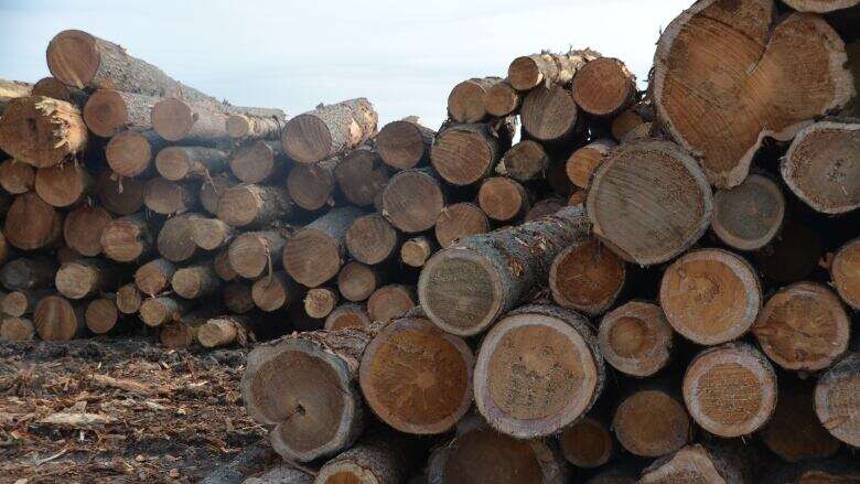 Ontario's forestry sector can't withstand more tariffs, says industry association