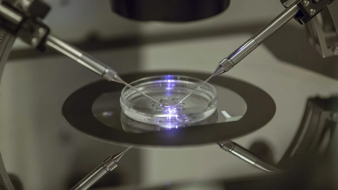 Applications for B.C.'s publicly funded IVF program open Wednesday