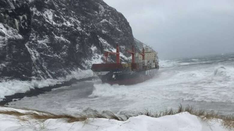 Cargo vessel runs aground on N.L. west coast, Rescue operations underway