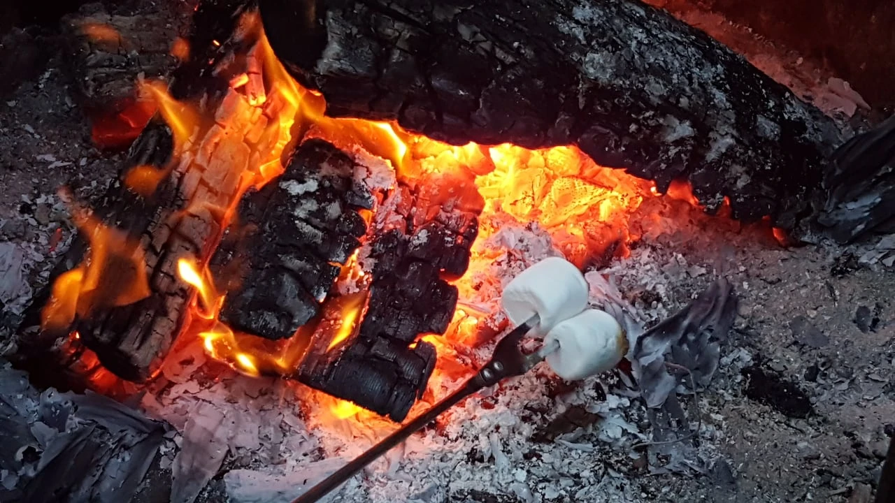 Campfires now banned across B.C.'s South Coast as fire danger remains elevated