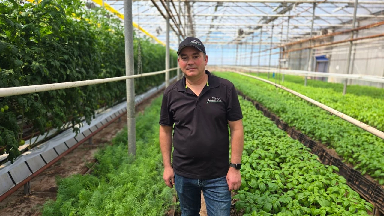 P.E.I. farmers call for designated electricity rate so they can stay competitive