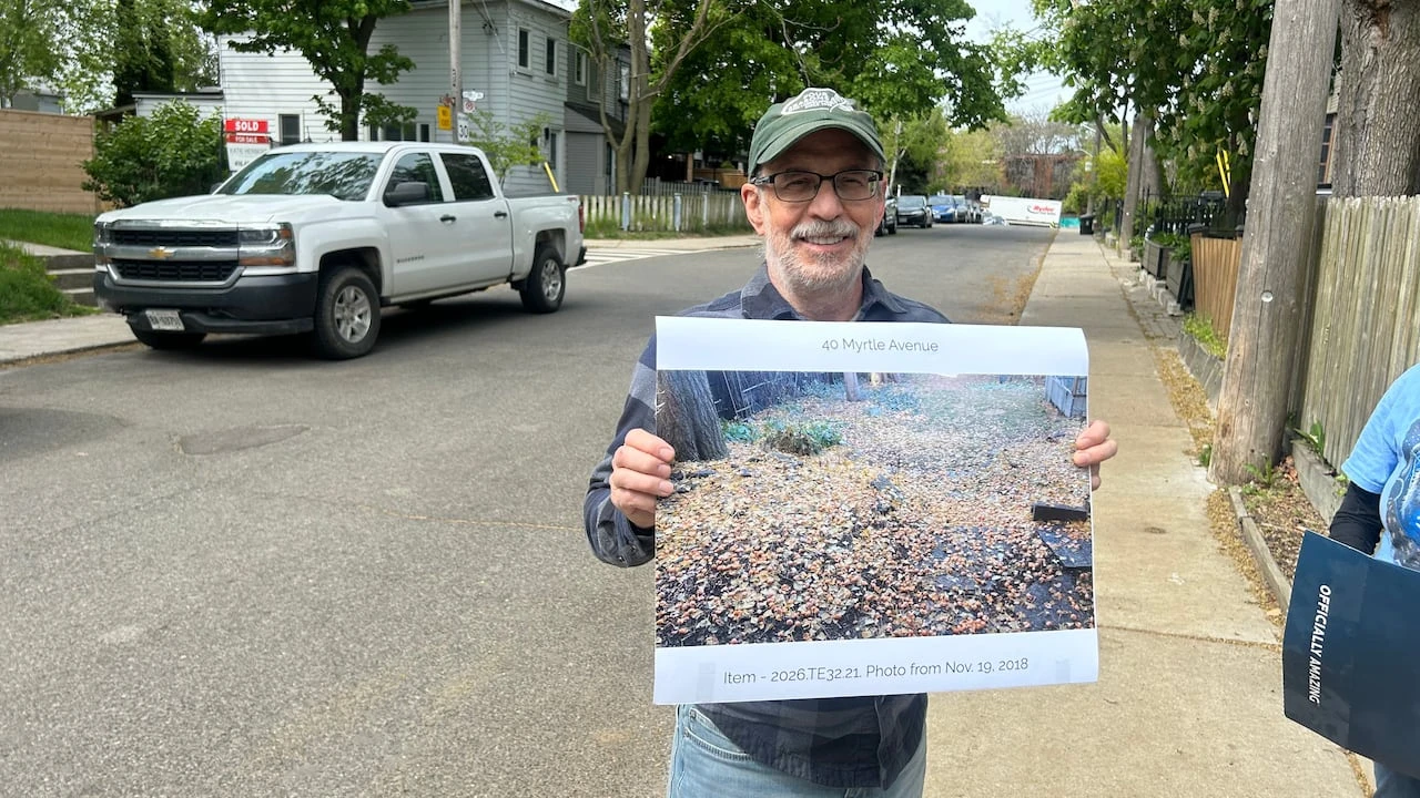 For some residents across Toronto, this tree's fruit is anything but sweet