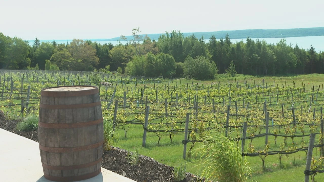 Old Cape Breton winery getting high-end transformation