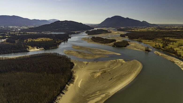 Environmental group buys island in B.C.'s Fraser River to protect salmon