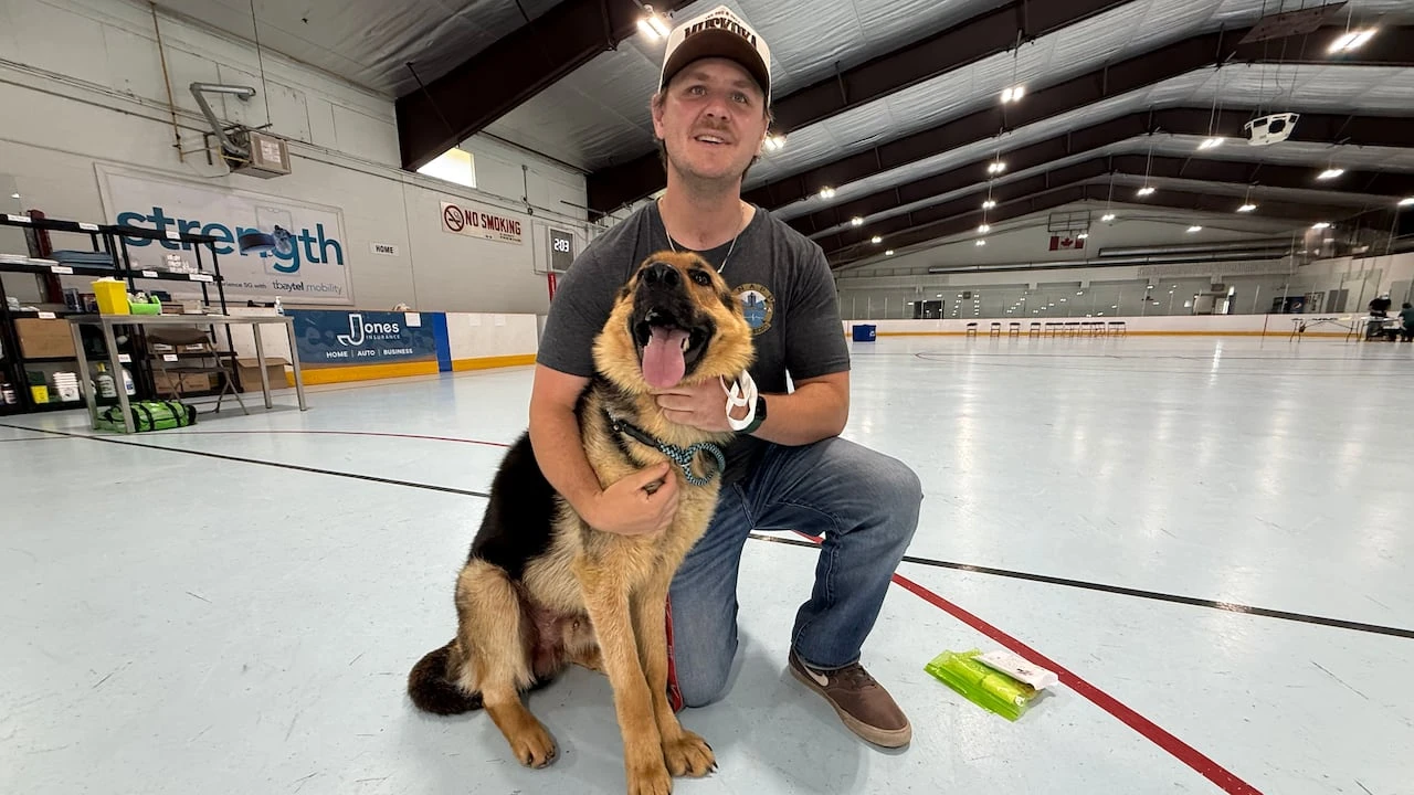 Mobile veterinary clinic set up in Thunder Bay, Ont., for animals affected by wildfires
