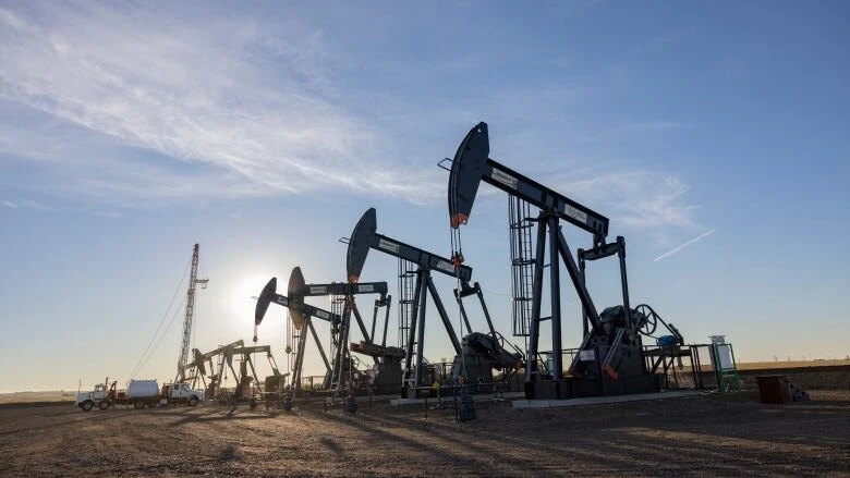 Sask. businesses near border brace for impact of tariffs