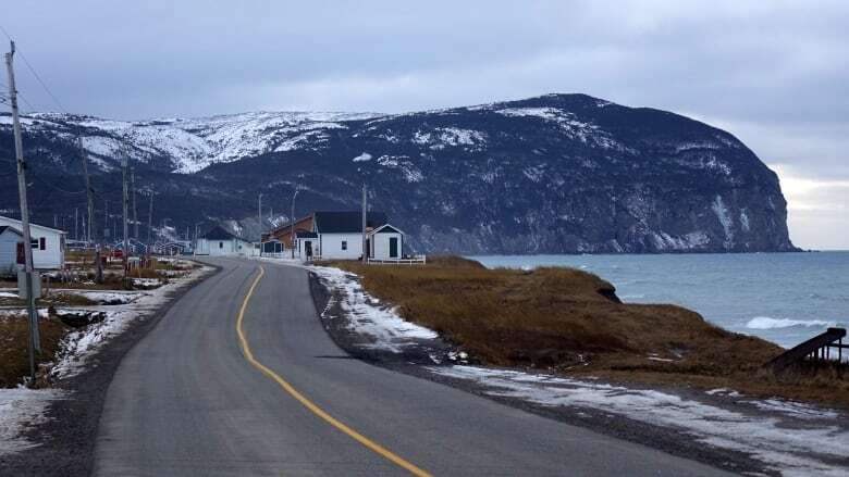 Newfoundland's west coast could be getting a new town — the province's first in 6 years