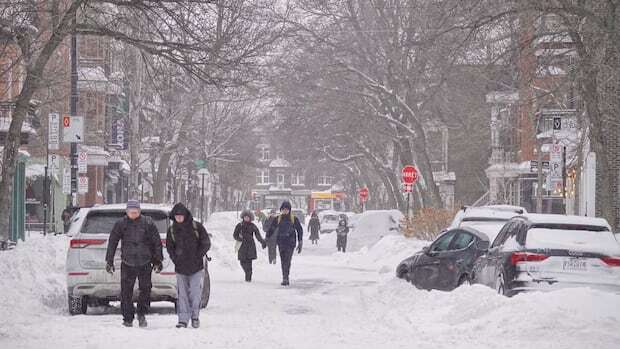 Montreal was hit with over 35 cm of snow. Here's what you need to know