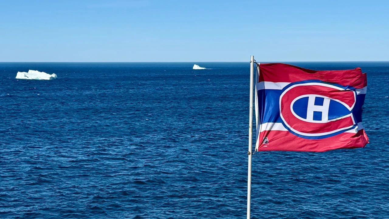 Alex Newhook fans turn N.L. bars into 'mini Bell Centres' during Habs playoff games