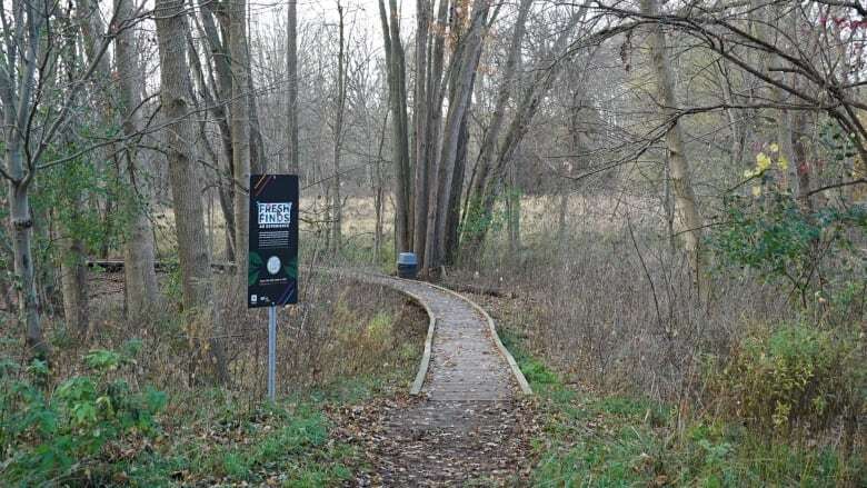 Popular hiking spot Sifton Bog expands to include more trails