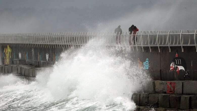 Pounding rain, damaging winds expected to batter parts of B.C. through Wednesday