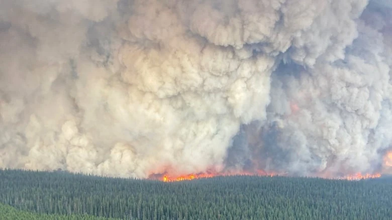 Dry conditions mean increased wildfire risk in B.C. through the fall: B.C. Wildfire Service