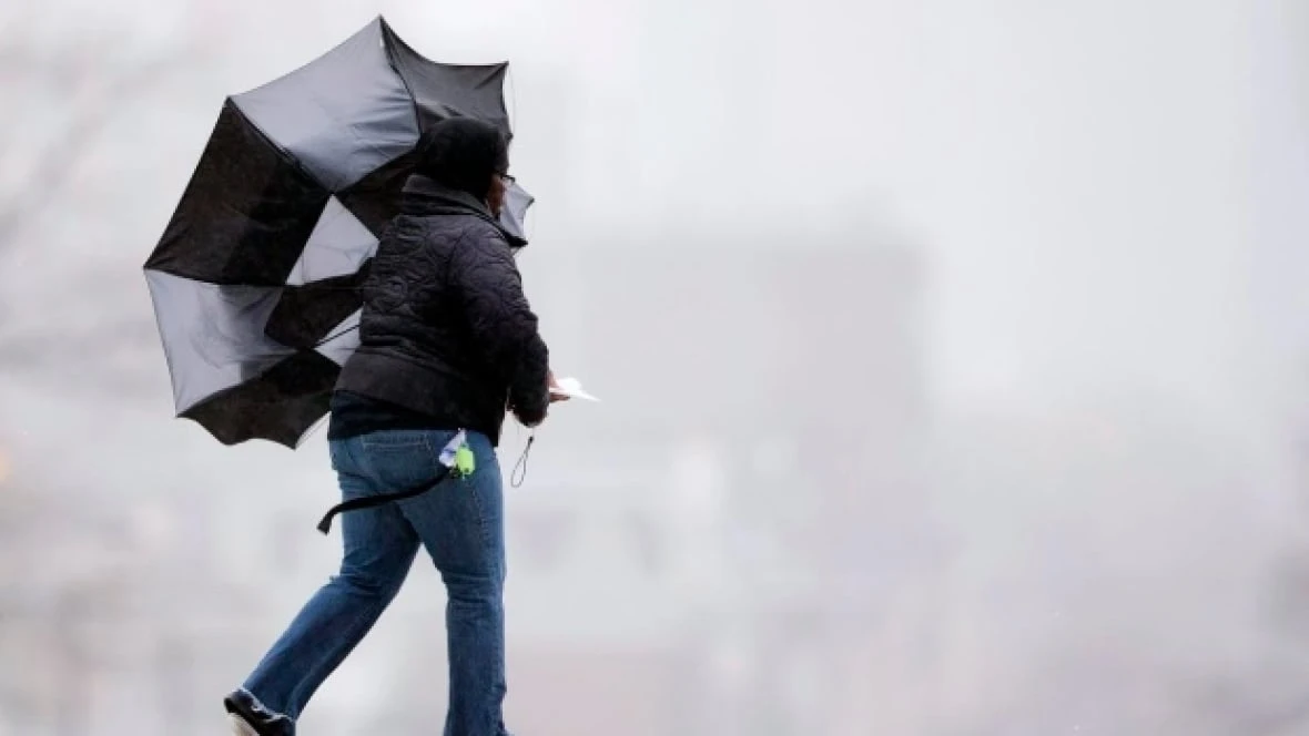 Strong winds expected throughout Friday in Waterloo region, Guelph and surrounding areas