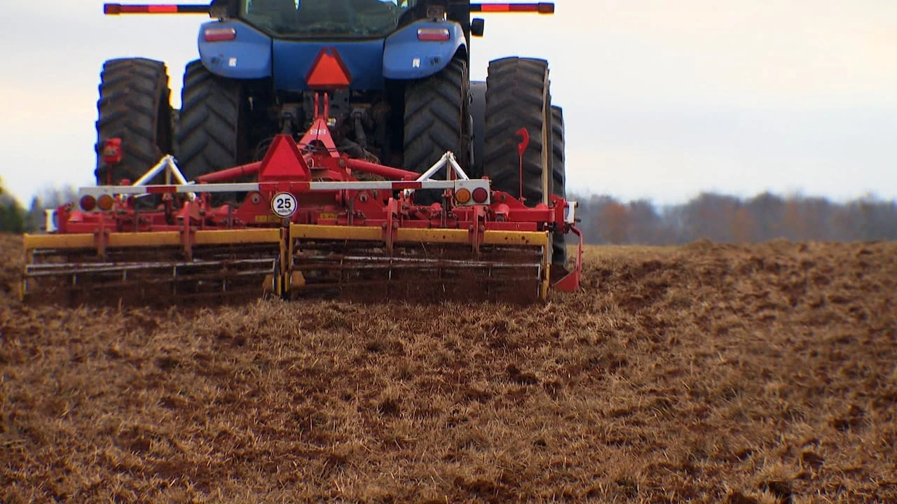 Farmers feeling the squeeze of rising land costs on P.E.I.