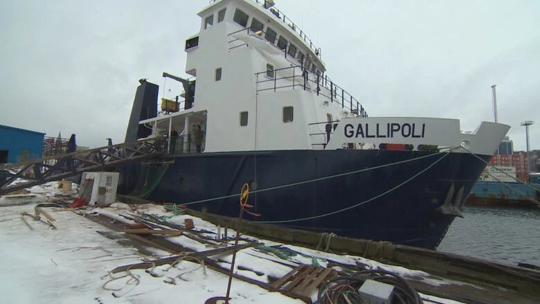 N.L. sues over damage to MV Gallipoli, citing 'negligent' past repair work