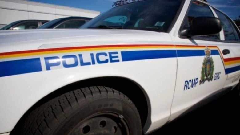 Langley RCMP search for missing 4-year-old boy