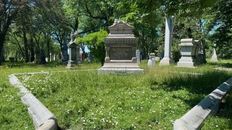 Workers at Notre-Dame-des-Neiges cemetery say grass is unkempt, bones unearthed due to job cuts