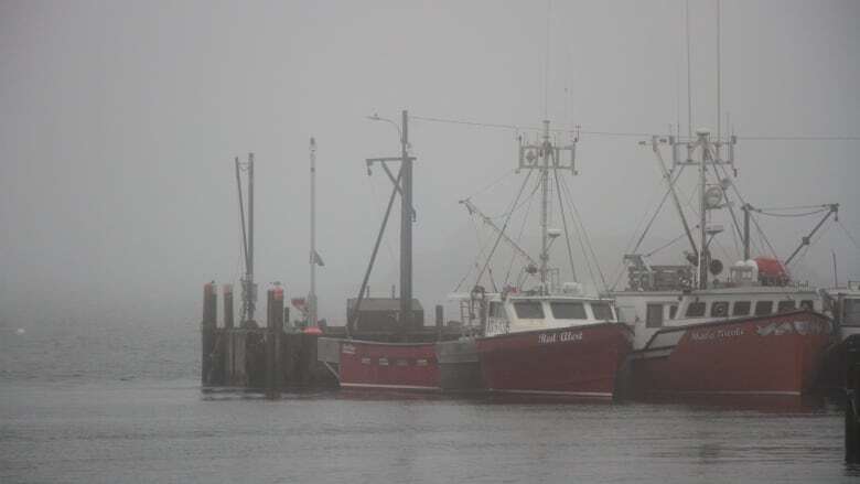 Disabled lobster licence holder wins again against DFO in court