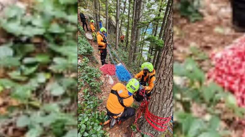 BASE jumper rescued from Squamish, B.C., mountain after dangling off cliff face