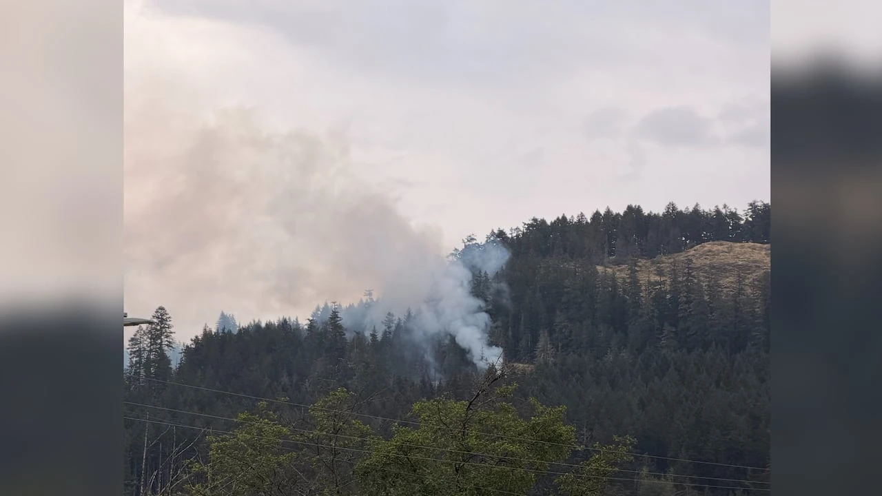 Structures not at risk as small wildfire burns near Port Alberni, officials say