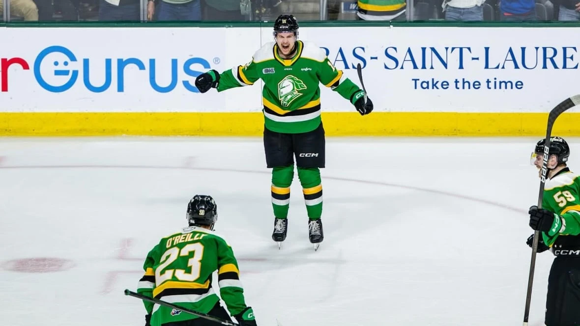 Not all OHL teams are making players take mandatory sexual violence prevention program
