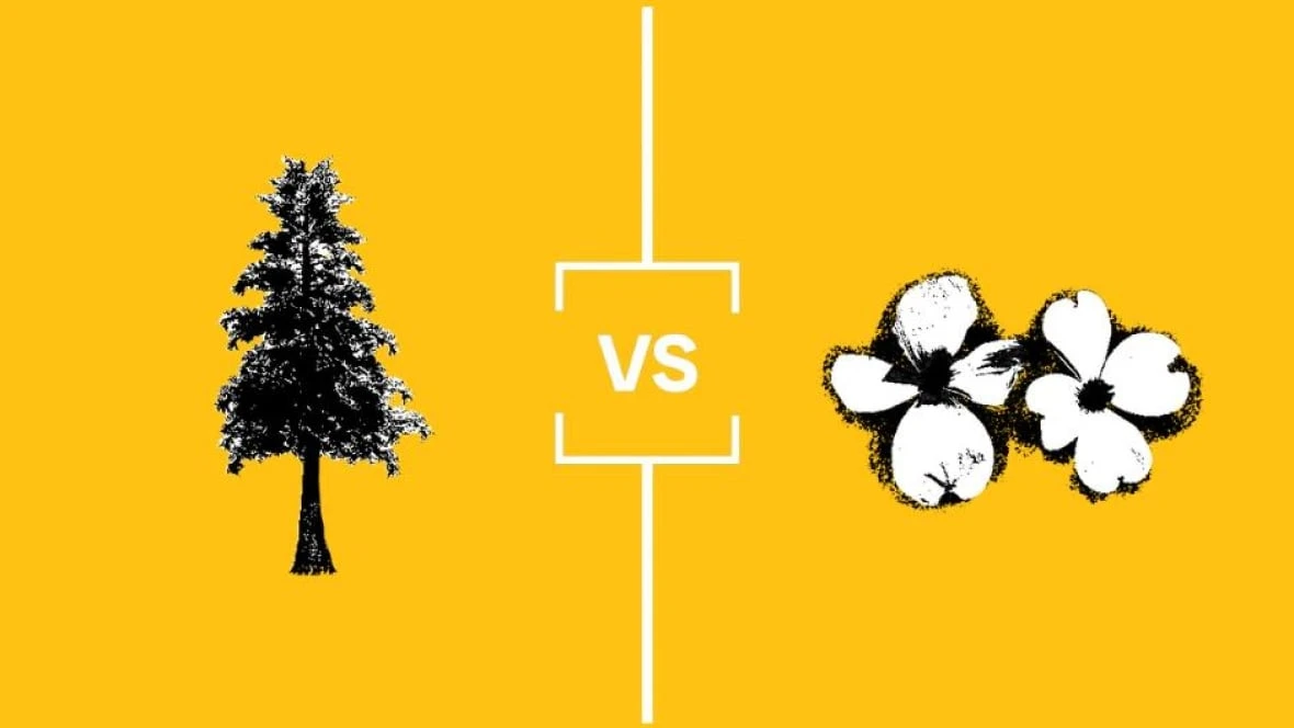 Search for B.C.'s Best Symbol: Nature Championship