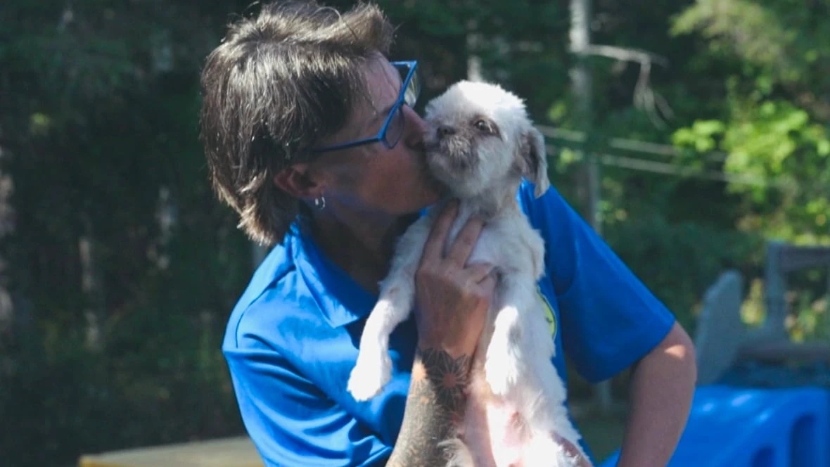 From emaciated to good health: The story of 1 rescue dog and her puppies in foster care