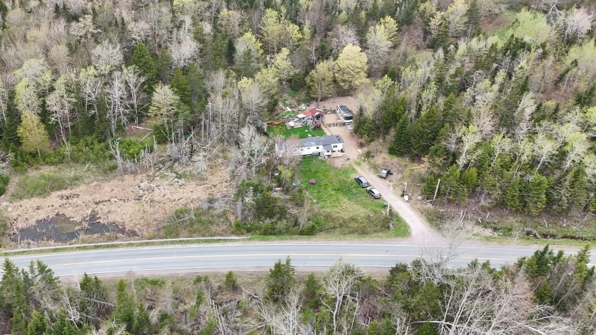 'It's just really strange': Retired dog handler weighs in on search for missing N.S. children