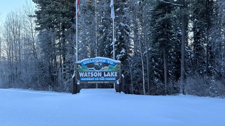Watson Lake's mayor says anything is welcome when it comes to long-term care options in town