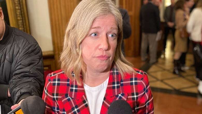 Liberals take heat from PC opposition for carbon adjustor promise