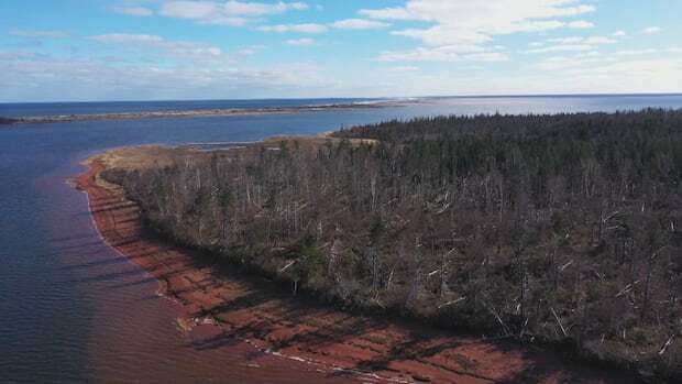 Meet the people working to protect and preserve Pituamkek on P.E.I.