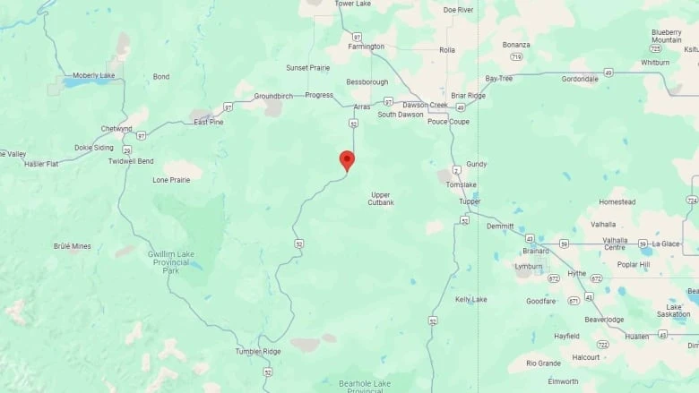Wildfire shuts down highway in northeast B.C.