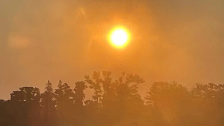 P.E.I.'s 3rd heat wave of the year forecast to be longest yet