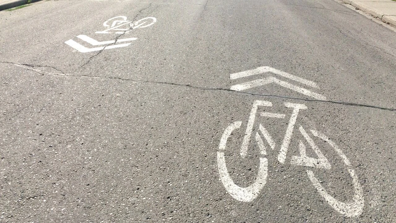 Alberta government launches web portal taking complaints on bike lanes