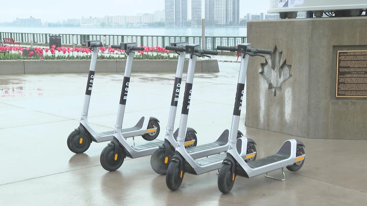Bird e-bikes and e-scooters are coming back to Windsor — here's how the service is changing