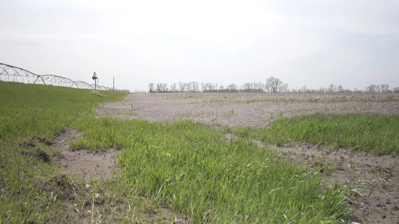 Topsoil blown into ditches leads to costly cleanup for one Manitoba municipality