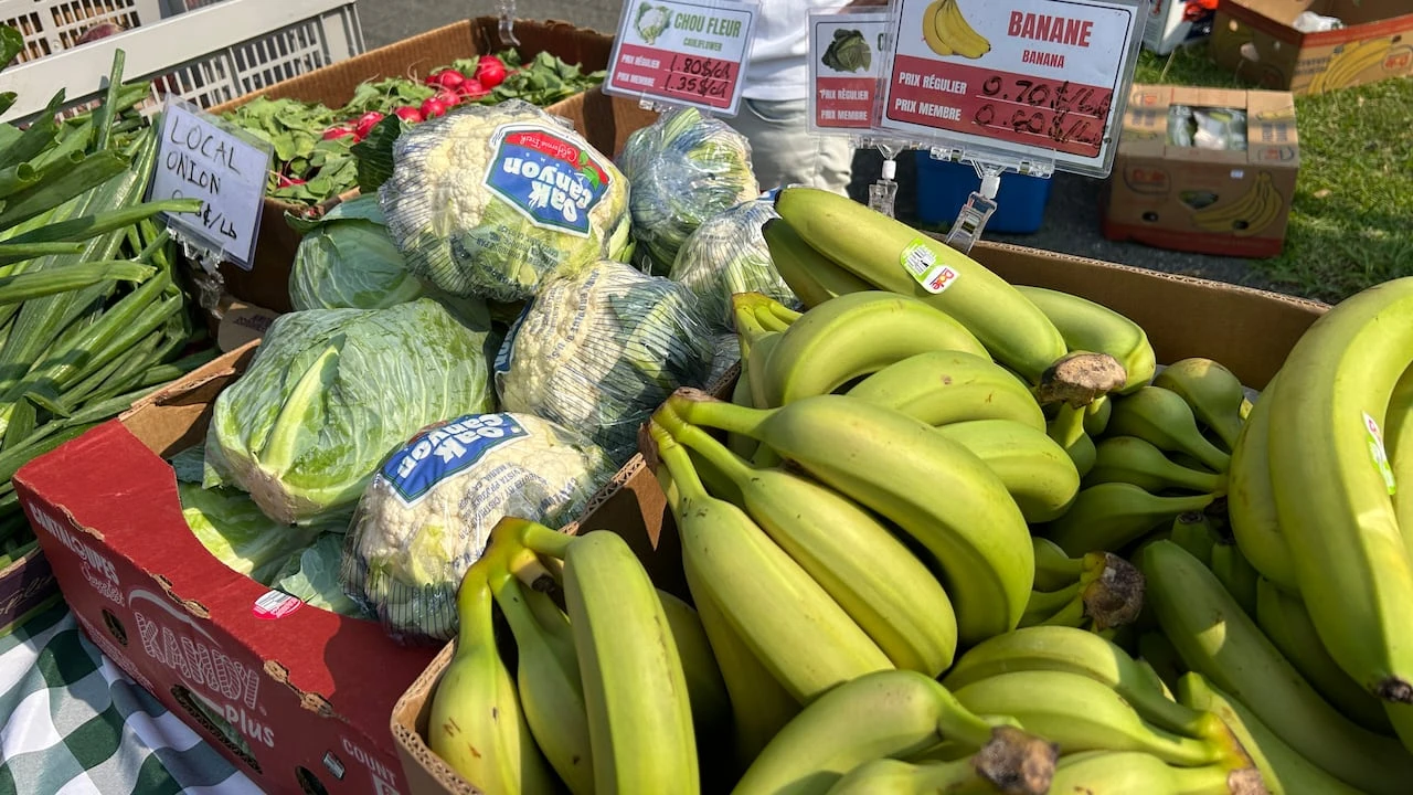 This mobile food market aims to help low-income families in Montreal