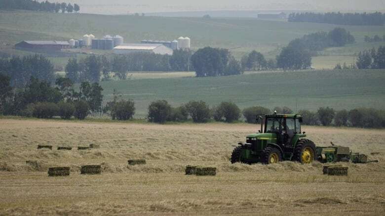 Alberta drought conditions expected to improve heading into 2025