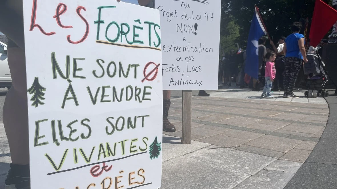 Legault government scraps forestry reform bill that drew widespread ire