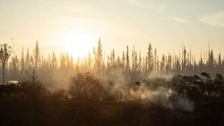 N.W.T. officials warn of 'major wind event' in South Slave, Dehcho regions on Friday, increasing fire risk